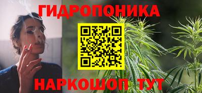 Альфа ПВП Тулун