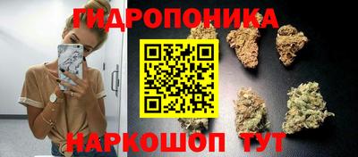 Альфа ПВП Тулун