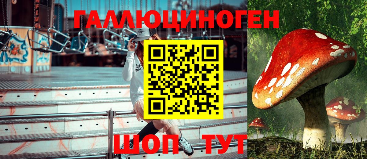 Галлюциногенные грибы Psilocybine cubensis  Вход с VPN  Алапаевск 